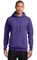 Picture of QUEST HOODIE